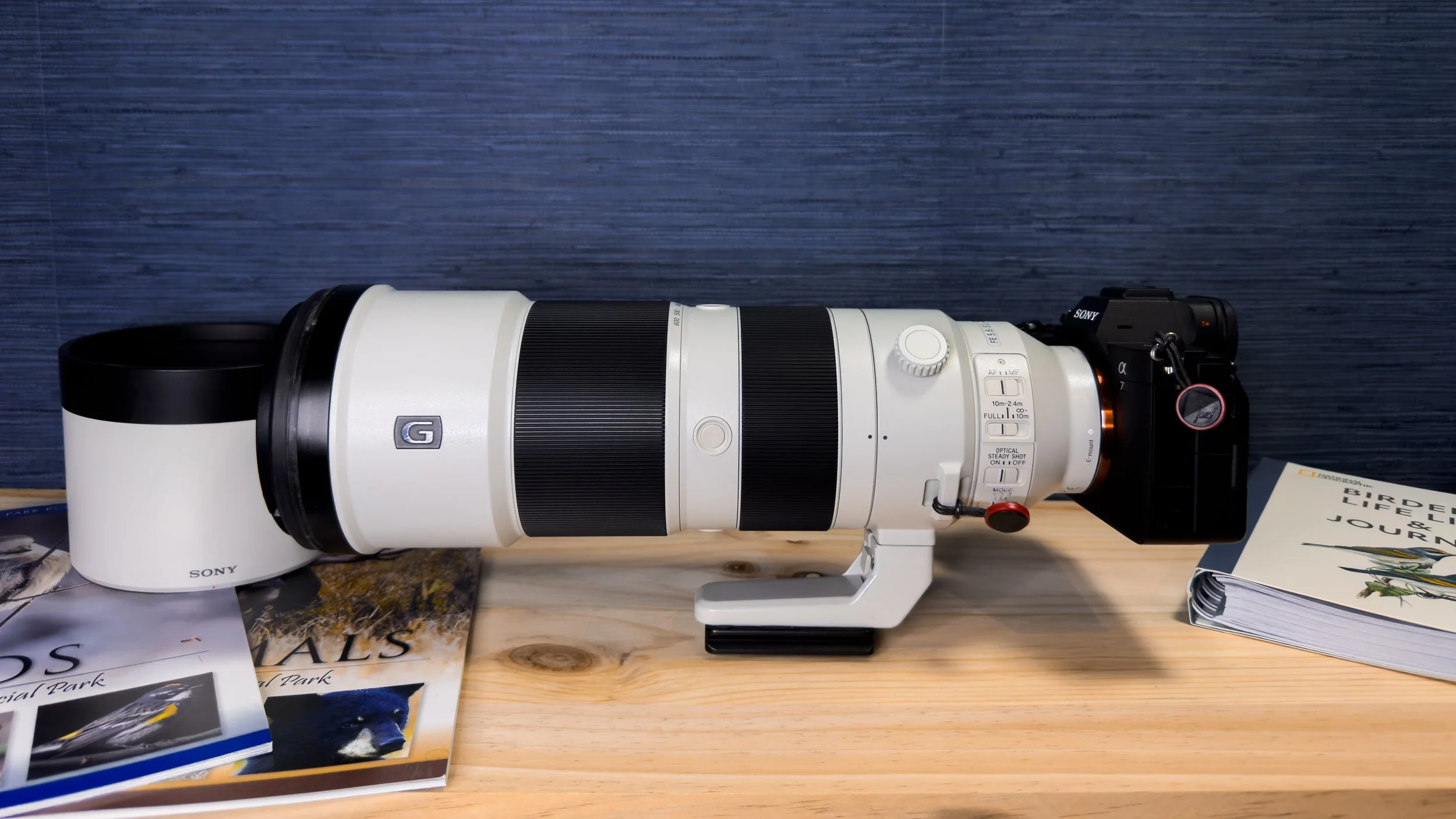 Sony 200-600mm Review: Insights from an Ontario Wildlife